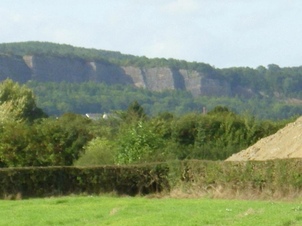 Ty Llew Hotel Llandysilio Værelse billede